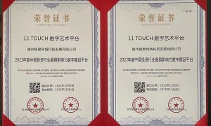 11 TOUCH 数字艺术荣获2022年度中国投资行业最具影响力数字藏品平台